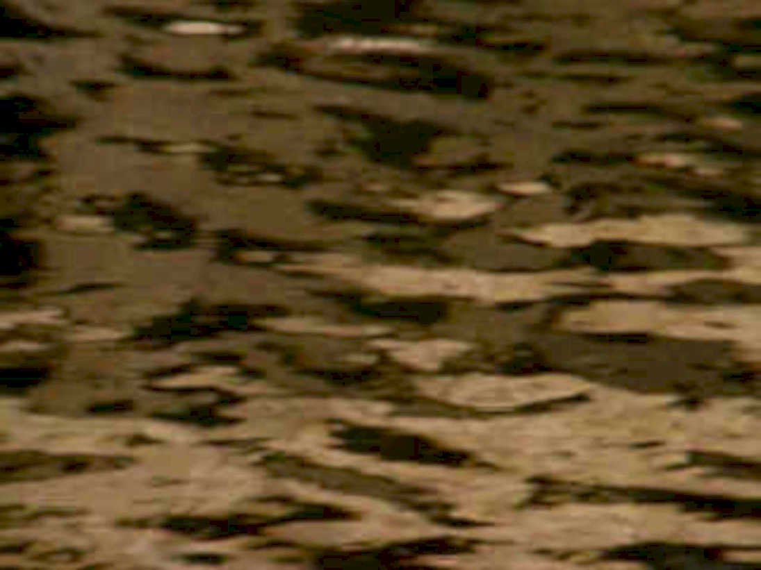 rippling water surface1980s 1990s A4 Photo Print