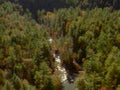 river autumn forest1980s 1990s A4 Photo Print
