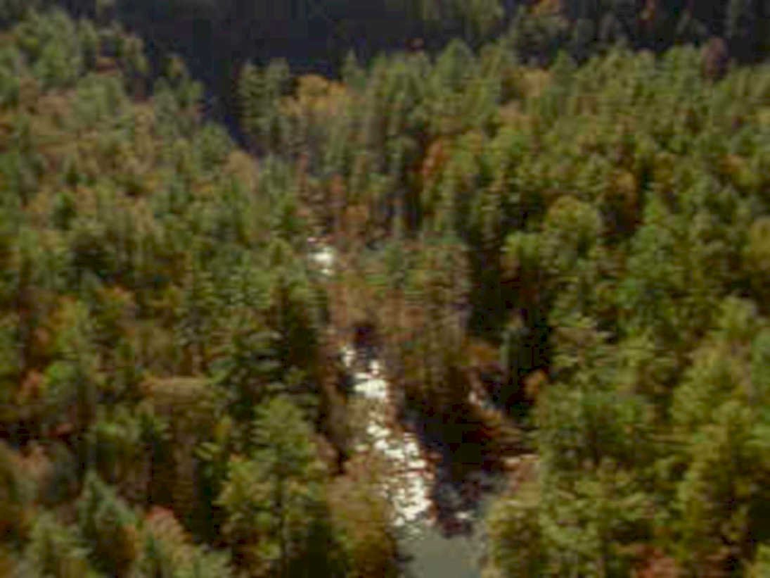 river autumn forest1980s 1990s A4 Photo Print