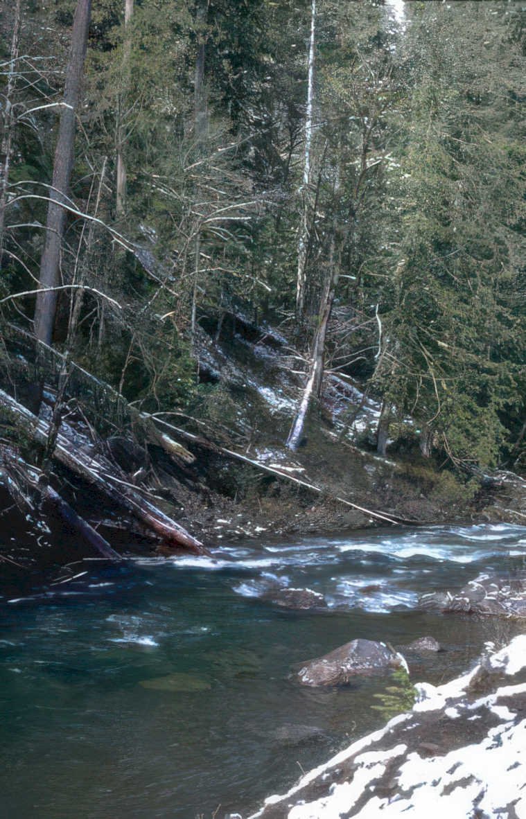 river bank winter Vintage A4 Photo Print