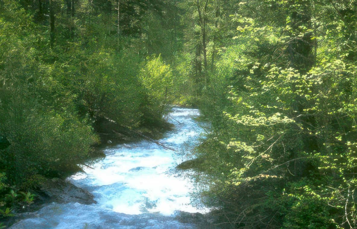 river creek montana Vintage A4 Photo Print