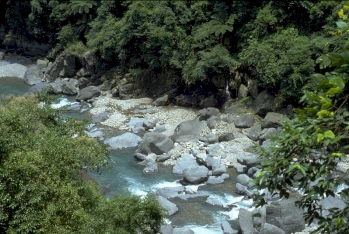 river landscape forest 1980s 1990s A4 Photo Print