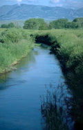 river landscape scene Vintage A4 Photo Print