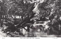 river mole boxhillVintage 1880s 1900s A4 Photo Print