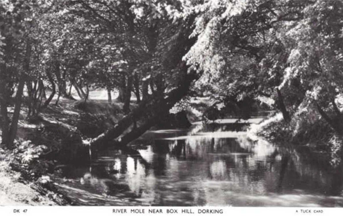river mole boxhillVintage 1880s 1900s A4 Photo Print
