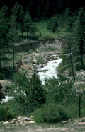 river mountains birds Vintage A4 Photo Print