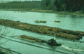 river rafts bc Vintage A4 Photo Print