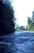 river rapids columbia Vintage A4 Photo Print