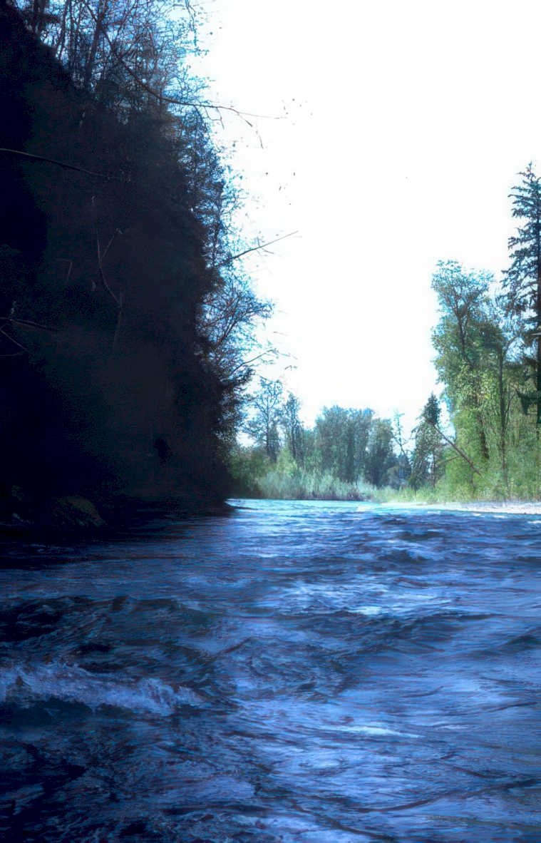 river rapids columbia Vintage A4 Photo Print