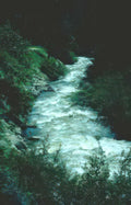 river rapids creek Vintage A4 Photo Print