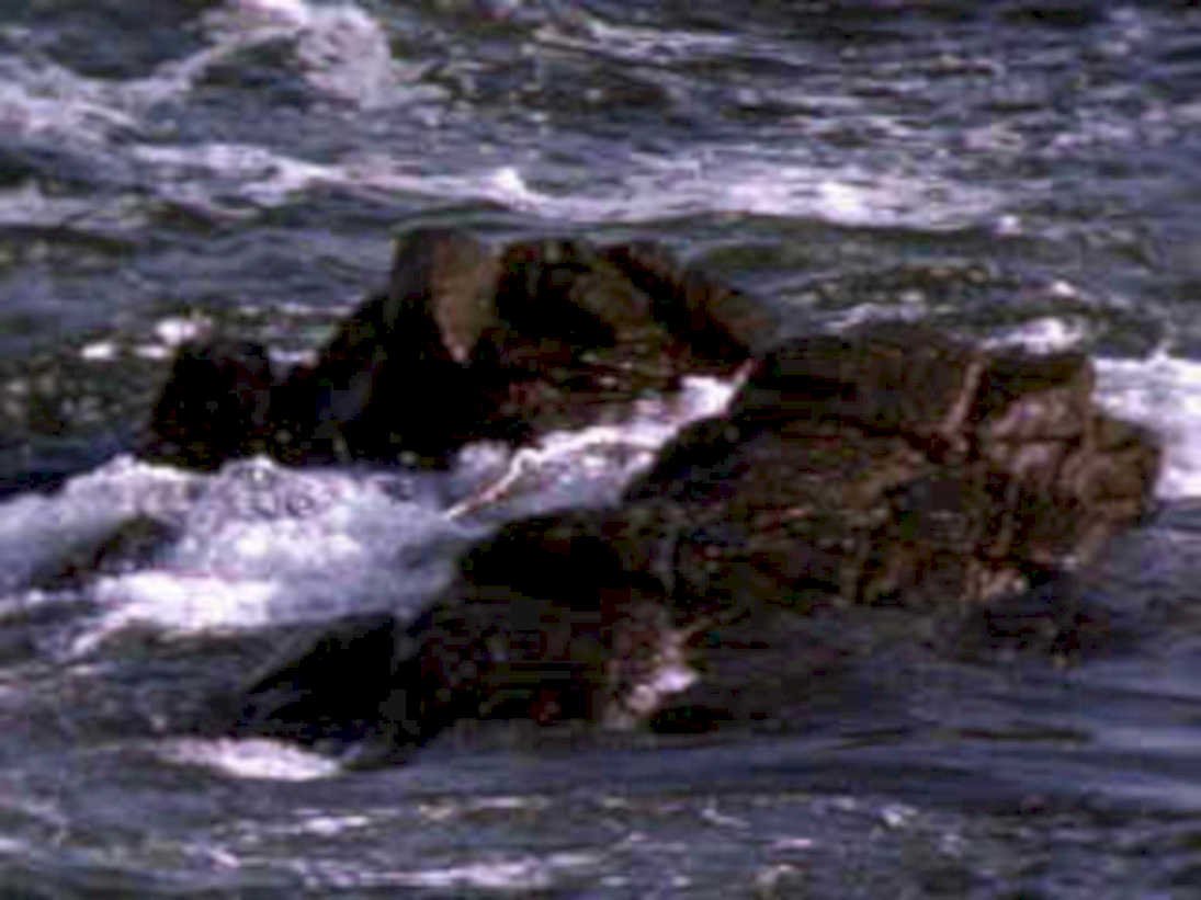 river rapids dark1980s 1990s A4 Photo Print
