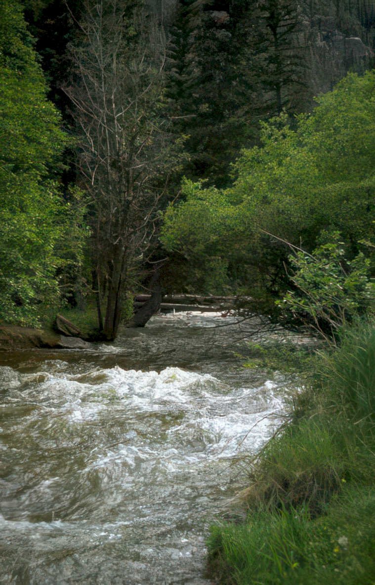 river rapids yellowstone 1 Vintage A4 Photo Print