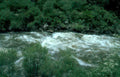 river rapids yellowstone 2 Vintage A4 Photo Print