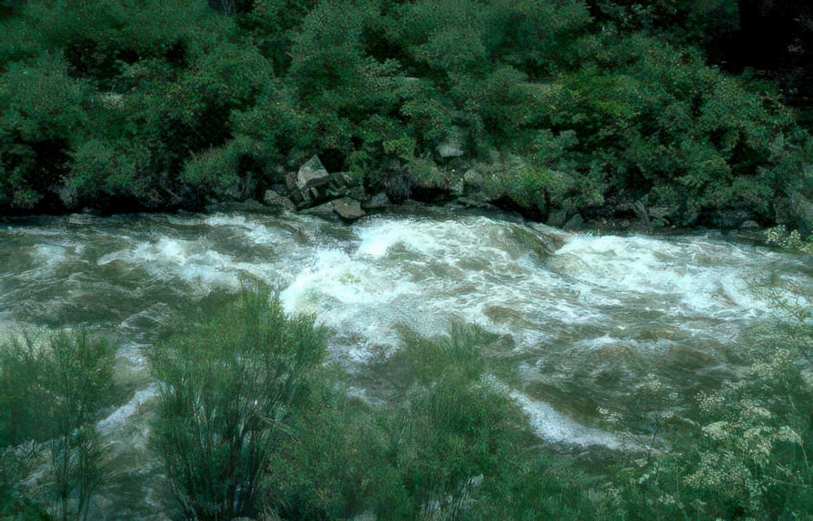 river rapids yellowstone 2 Vintage A4 Photo Print