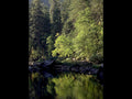 river reflection sierra1980s 1990s A4 Photo Print