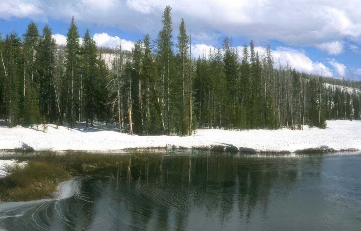 river reflection yellowstone Vintage A4 Photo Print