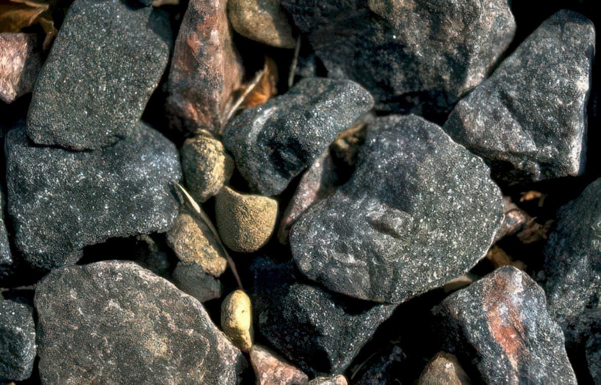 river rocks stream Vintage A4 Photo Print