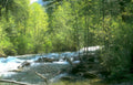 river stream montana Vintage A4 Photo Print