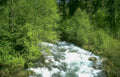 river stream mountains Vintage A4 Photo Print