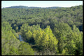 river valley forest1980s 1990s A4 Photo Print