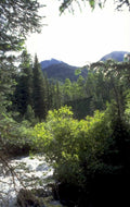 river valley mountains 1980s 1990s A4 Photo Print 42