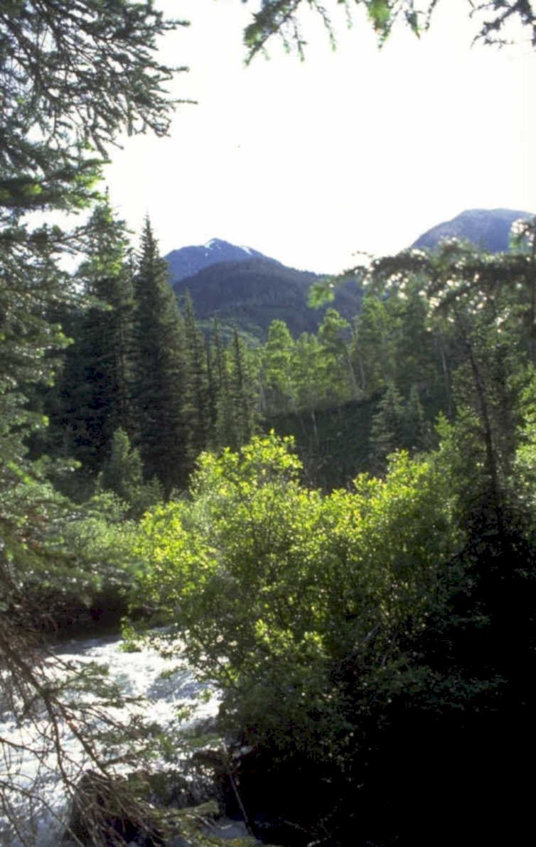 river valley mountains 1980s 1990s A4 Photo Print 42