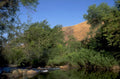 river valley scene 1980s 1990s A4 Photo Print