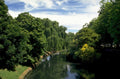 river willow creek 1980s 1990s A4 Photo Print