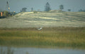 riverbank heron construction Vintage A4 Photo Print