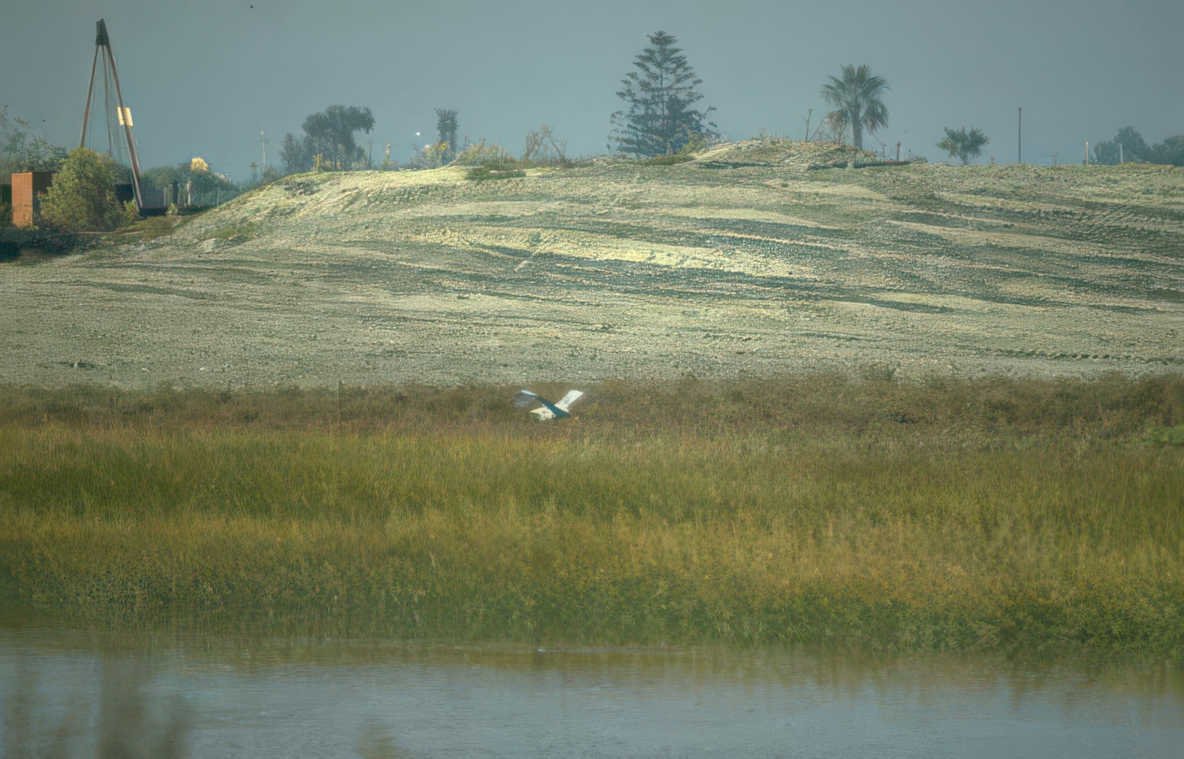 riverbank heron construction Vintage A4 Photo Print