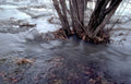 riverbank ice debris Vintage A4 Photo Print