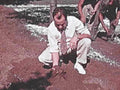 riverbank sediment texas1980s 1990s A4 Photo Print