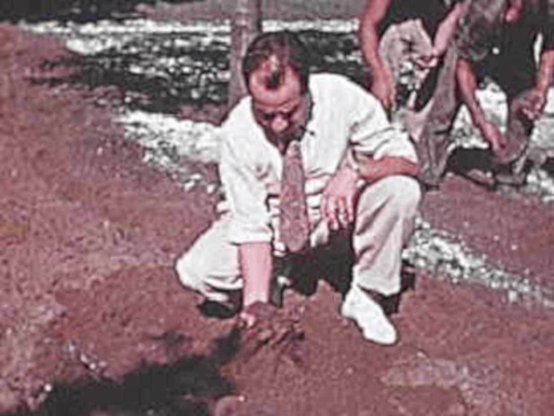 riverbank sediment texas1980s 1990s A4 Photo Print
