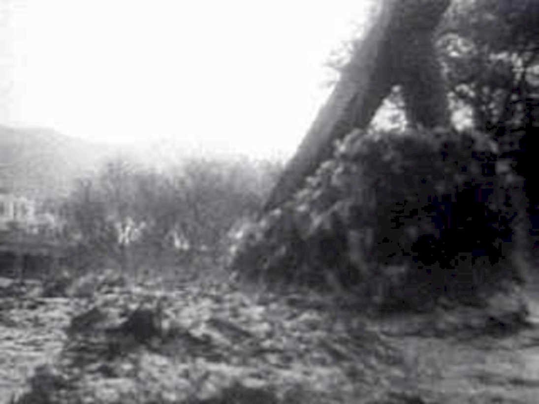 riverbank trees rocks1980s 1990s A4 Photo Print