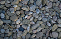 riverbed gravel alaskan Vintage A4 Photo Print