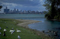 riverfront skyline birds 1980s 1990s A4 Photo Print