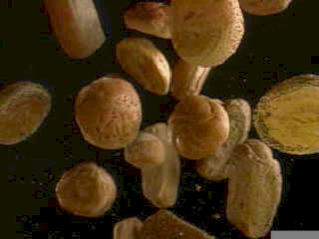 roasted almonds texture1980s 1990s A4 Photo Print