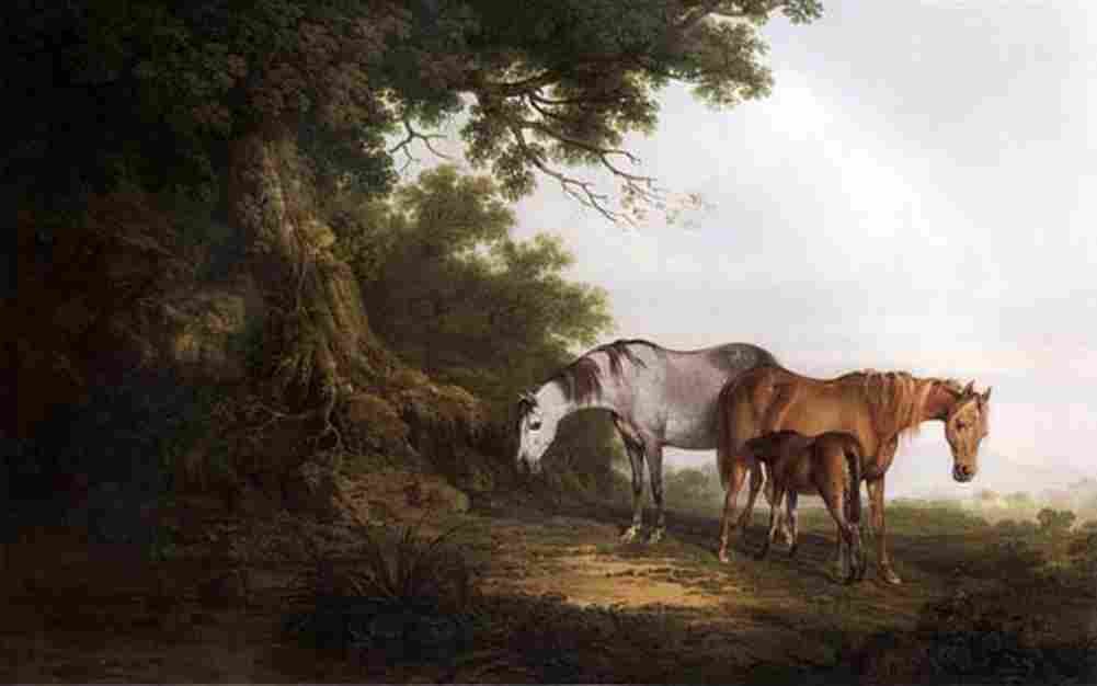 roberts Mares and a Foal in a Wooded Landscape Art A4 Photo Print