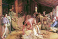 robtom Shearing the Rams Art A4 Photo Print