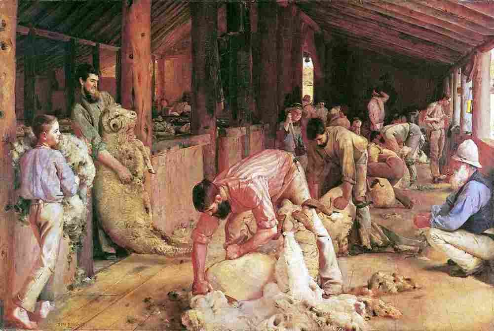 robtom Shearing the Rams Art A4 Photo Print