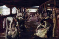 robtom The Golden Fleece Art A4 Photo Print