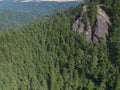 rock forest outcrop1980s 1990s A4 Photo Print