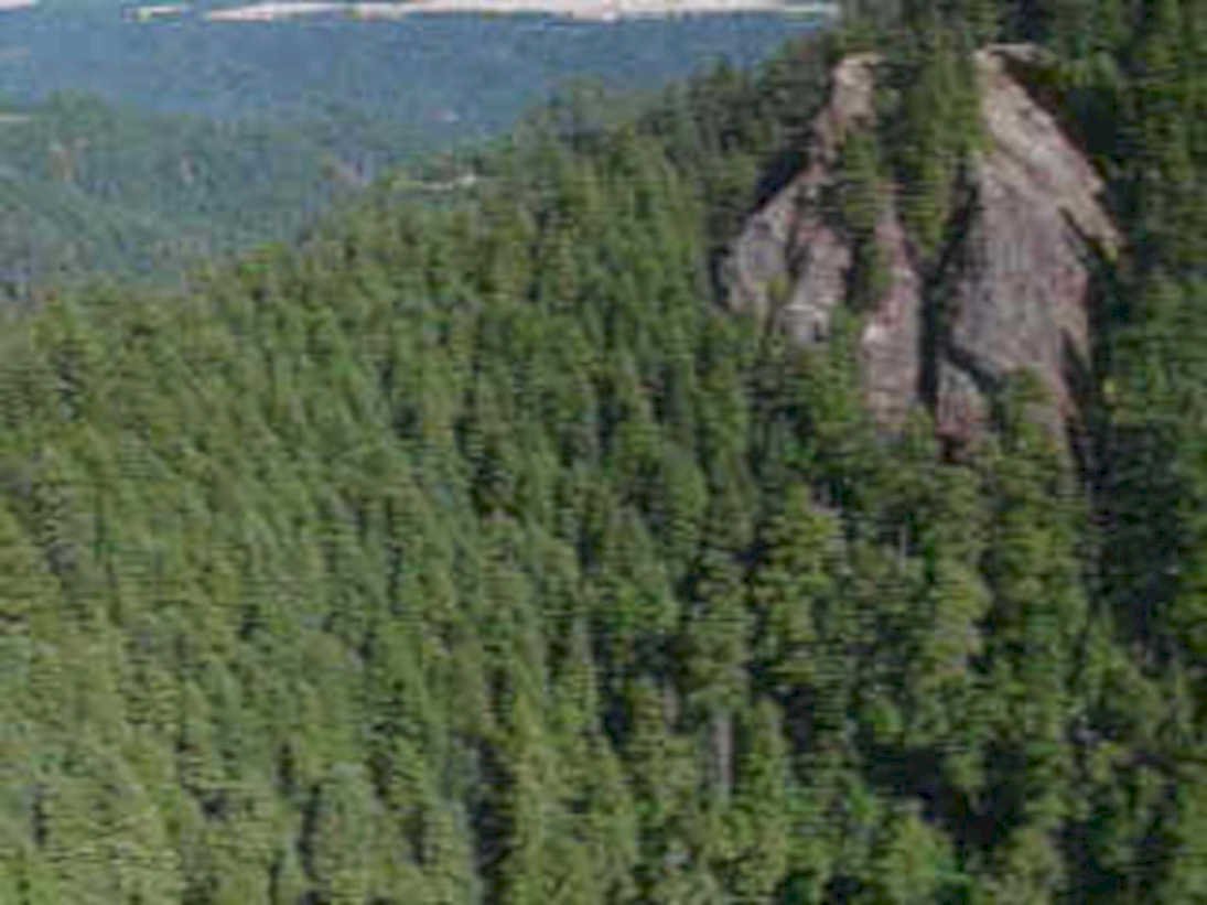 rock forest outcrop1980s 1990s A4 Photo Print