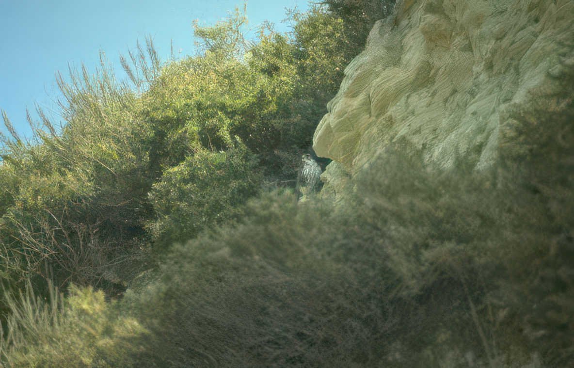 rock hillside scrub Vintage A4 Photo Print