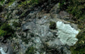 rock outcrop moss Vintage A4 Photo Print