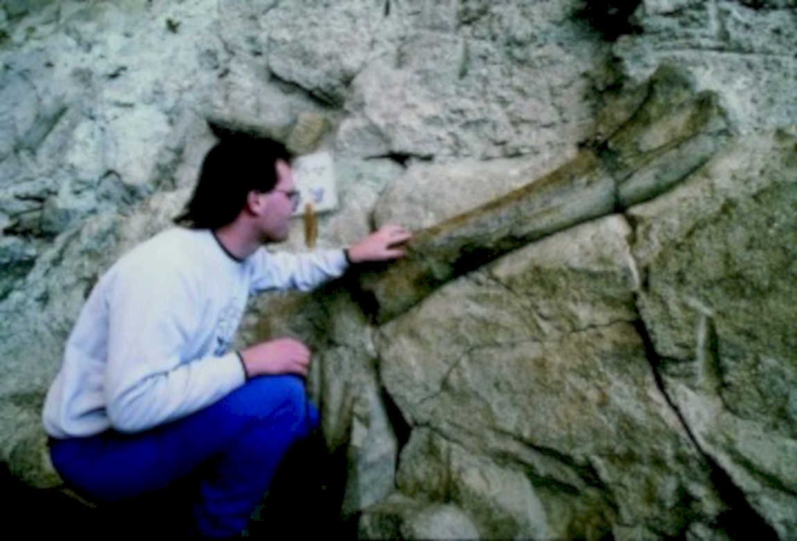 rock outcrop study1980s 1990s A4 Photo Print