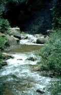 rocky creek blue Vintage A4 Photo Print