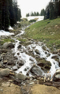rocky creek stream 1 Vintage A4 Photo Print