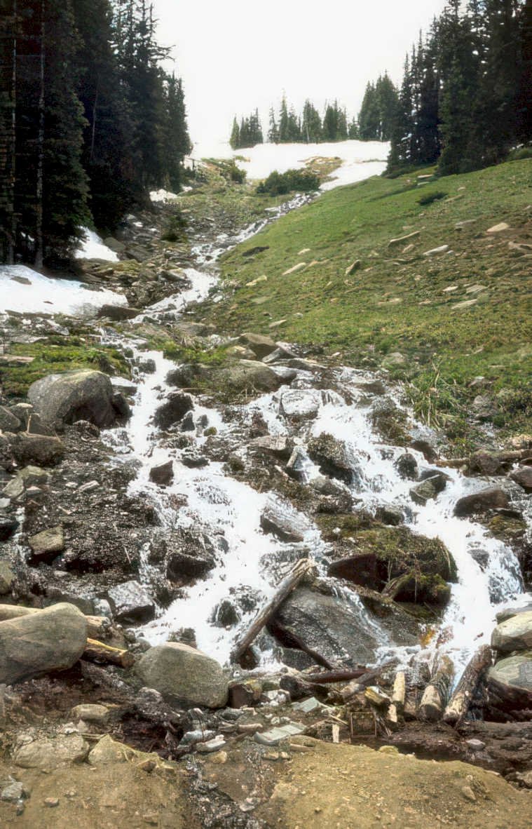 rocky creek stream 1 Vintage A4 Photo Print