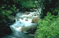 rocky creek stream 2 Vintage A4 Photo Print